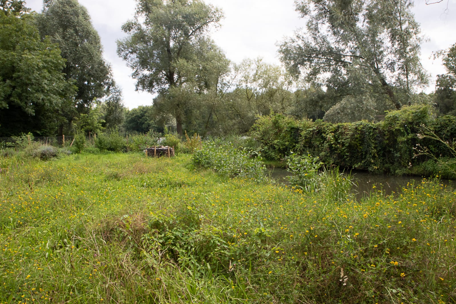 naturgärten 07.08.2021 4