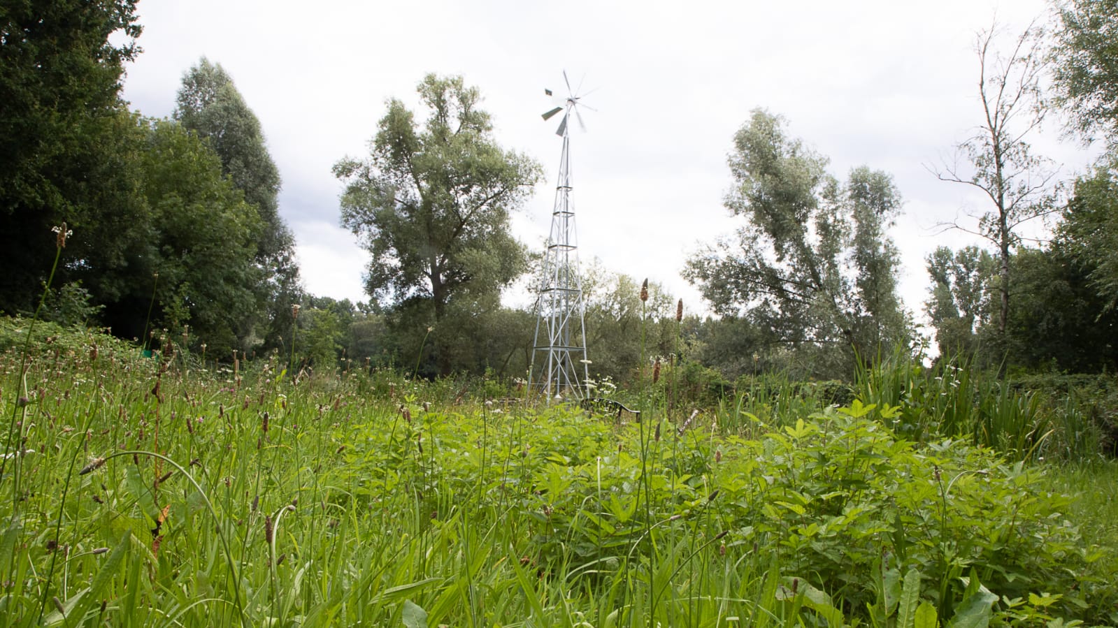 naturgärten 07.08.2021 4