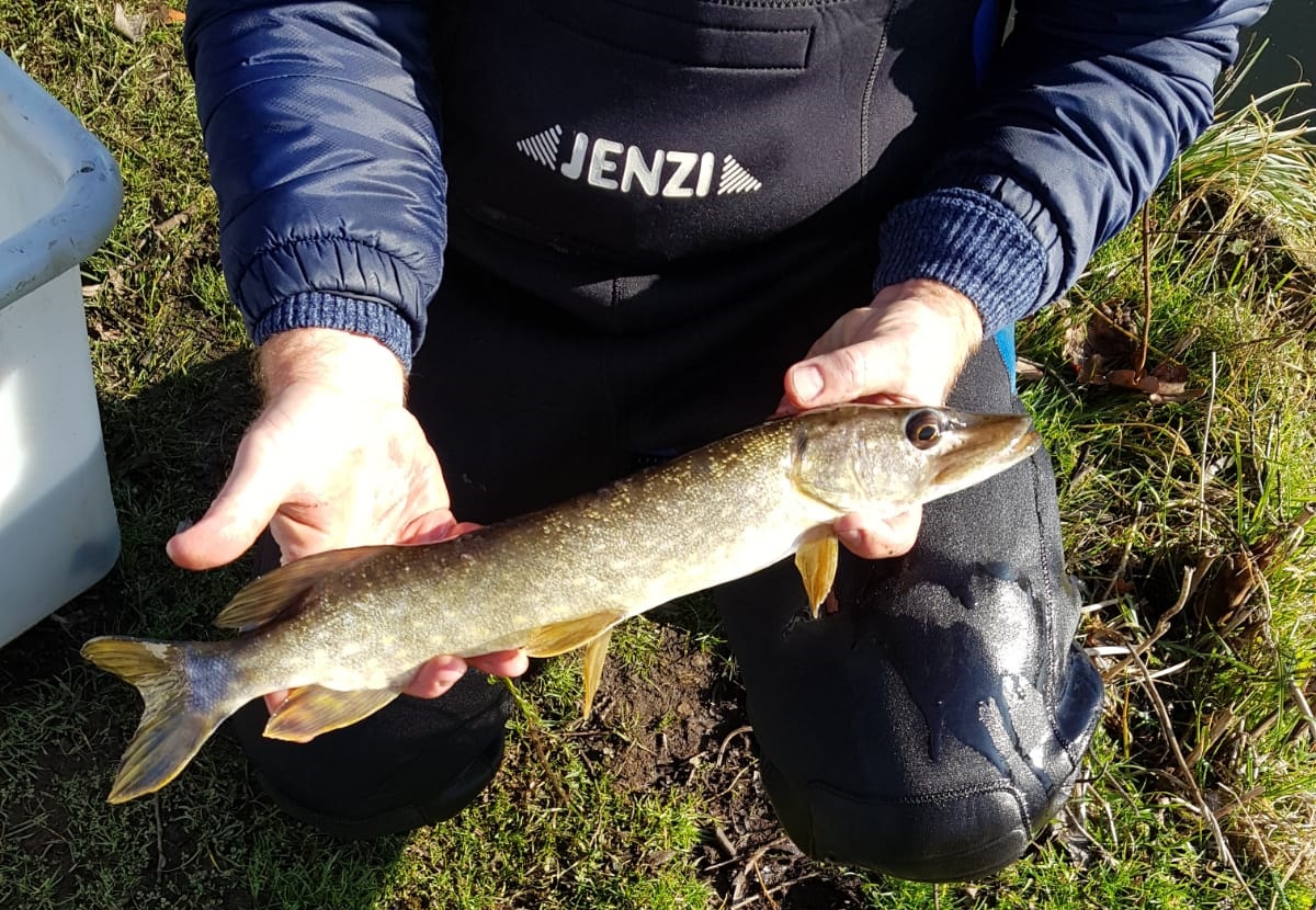 fb img 1569091830628